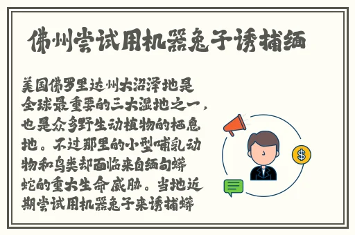 花季传媒隐藏网站入口